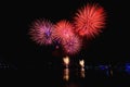 Colorful fireworks against a black night sky.Fireworks for new year. Beautiful colorful fireworks display on the urban lake for Royalty Free Stock Photo