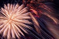 Colorful fireworks, as pink peony and sparks. Colored firework holiday background Royalty Free Stock Photo