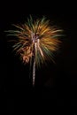 Colorful Fireworks Burst on Black Background Royalty Free Stock Photo