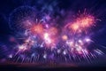 Colorful fireworks bursting in the night sky Royalty Free Stock Photo