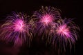 Colorful fireworks 2017 Royalty Free Stock Photo