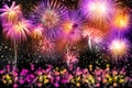 Colorful fireworks Royalty Free Stock Photo