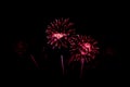 Colorful fireworks,A fireworks display against the night sky Royalty Free Stock Photo