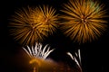 Colorful fireworks display at night Royalty Free Stock Photo