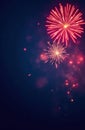 Colorful fireworks exploding in the night sky Royalty Free Stock Photo