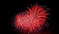 Colorful fireworks festival happy new year Royalty Free Stock Photo