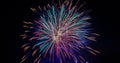 Colorful fireworks festival happy new year Royalty Free Stock Photo