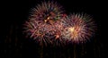 Colorful Fireworks in blue, green gold, red on a black background. Royalty Free Stock Photo
