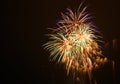 Colorful fireworks at holiday night. Blurred Image of salutes