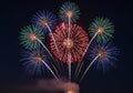 Colorful fireworks illuminate the night sky, bursting in vibrant Royalty Free Stock Photo