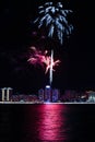 Colorful fireworks near water Royalty Free Stock Photo