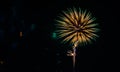 Colorful fireworks near water Royalty Free Stock Photo