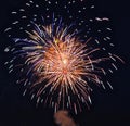 Colorful fireworks in the night sky.