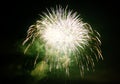 Colorful fireworks in the night sky