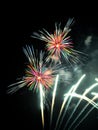 Colorful Fireworks in Night Sky Royalty Free Stock Photo