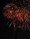 Colorful Fireworks in Night Sky Royalty Free Stock Photo