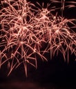 Colorful fireworks over dark sky