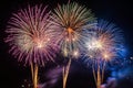 Colorful fireworks soaring over a black background. Can be used as abstract background or wallpaper Royalty Free Stock Photo