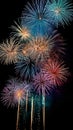 Colorful fireworks soaring over a black background. Can be used as abstract background or wallpaper Royalty Free Stock Photo