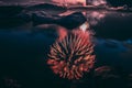 Annual Every year Firework show in the Glacier lagoon Iceland Royalty Free Stock Photo