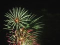 Colorful fireworks of various colors light up the night sky Royalty Free Stock Photo