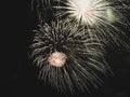 Colorful fireworks of various colors light up the night sky Royalty Free Stock Photo