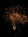 Colorful fireworks of various colors light up the night sky Royalty Free Stock Photo