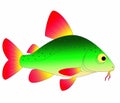 Colorful fish