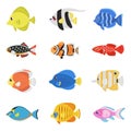 Colorful fish flat style vector set. Royalty Free Stock Photo