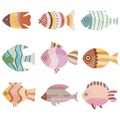 Colorful fish set illustration. Sea or ocean fish collection isolated on white background Royalty Free Stock Photo