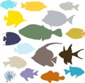 Colorful fish silhouettes set Royalty Free Stock Photo