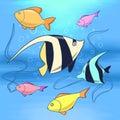 Colorful fish swim in the sea water