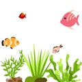 Colorful fish tank. Fish tank setup. Beautiful fishes in fish tank