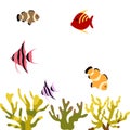 Colorful fish tank. Fish tank setup. Beautiful fishes in fish tank