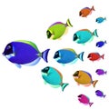 Colorful fishes Royalty Free Stock Photo