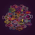 Colorful Fishes