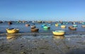 Colorful fishing boats on the beach in southern Vietnam