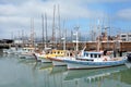 Colorful Fishing boats in Fisherman Wharf San Francisco Royalty Free Stock Photo