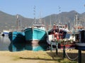 Colorful fishing boats in Hout Bay Harbor Royalty Free Stock Photo