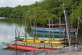 Colorful fishing canoes docked on the river bank