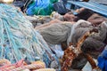 Colorful fishing nets of different types