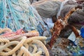 Colorful fishing nets of different types, ropes and oxidated anchor