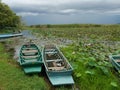 Colorful fishing and Taxi boat with water plants in lake Royalty Free Stock Photo