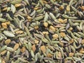 Panch phoron spice