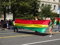 Colorful Flag at the Festival