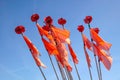 Colorful flags of buoys of a fishing boat