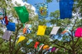 Colorful flags flying above the Bay Area Renaissance Festival - Withlacoochee River Park, Dade City, Florida, USA