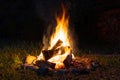 A colorful flaming bonfire with logs burning in the night. Fireplace with blazing firewood on the grass fenced with stones