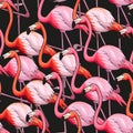 Colorful flamingo seamless background