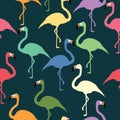 Colorful flamingos bird vector pattern texture